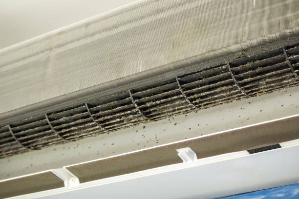 Best Air Duct Sanitization & Disinfection in Berwyn Heights, MD